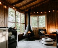 The main room — suspended wood stove, windows into the oaks