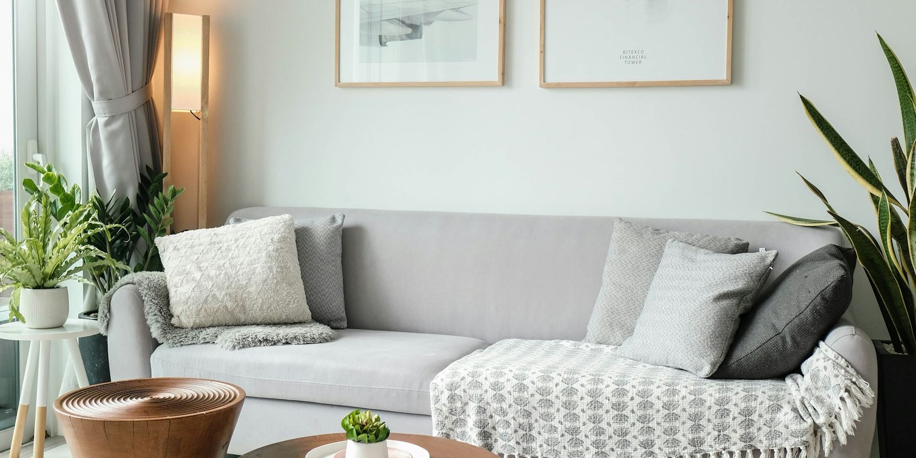 A sitting room with plants and framed prints on a pale wall
